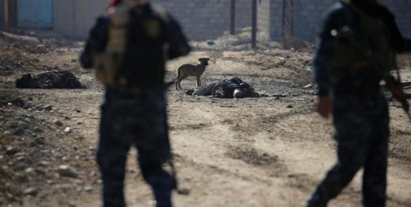 هلاکت 3 تروریست داعشی از جمله یک انتحاری در مرز عراق با سوریه