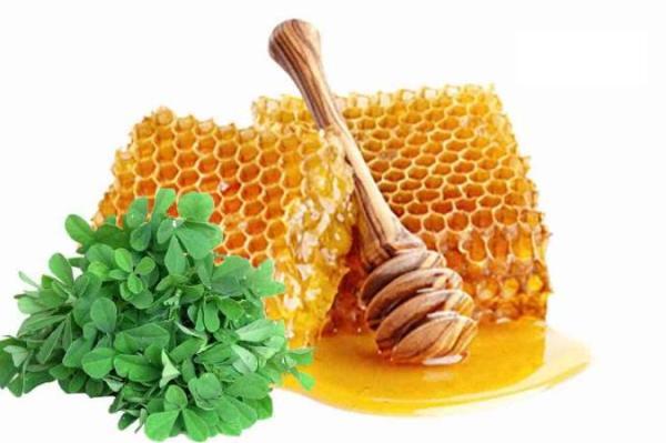عسل یونجه و خواص آن عسل یونجه و خواص آن