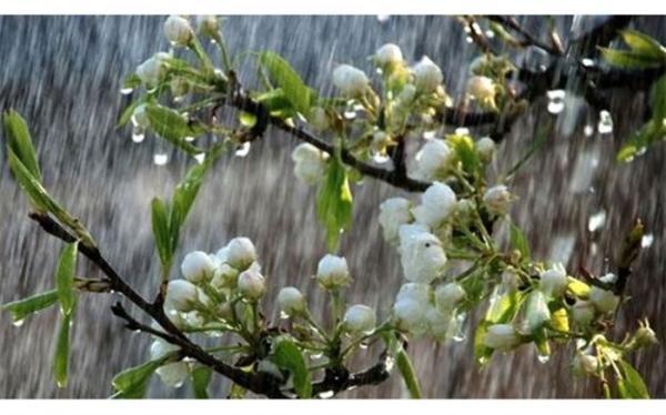 تشدید بارش در سه استان شمالی